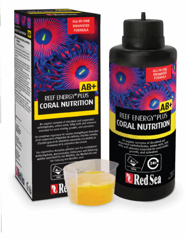 RedSea ReefEnergy +